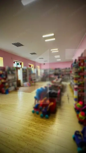 Spațiu comercial in Lipova, Arad – Investiție cu randament si chiriași existenți