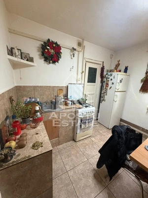 Apartament cu 2 camere de vanzare in zona Steaua, Timisoara - imagine 8