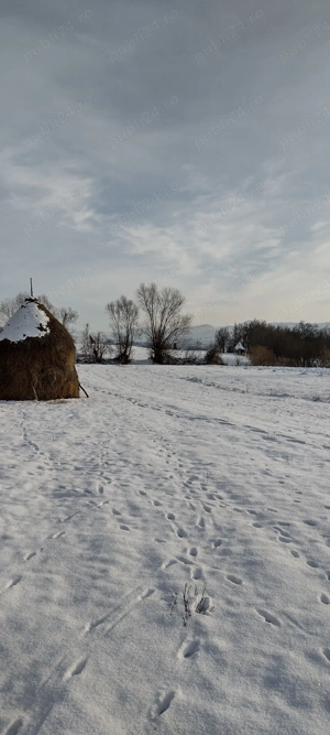 Teren de vânzare  - imagine 4