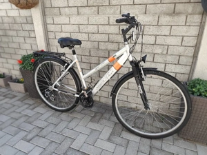 Bicicletă Allu- Rex 28"