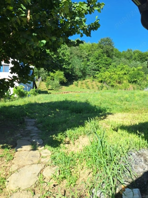 Casa de vanzare in DB, Visinesti, Urseiu - imagine 2