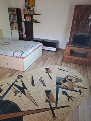 Casa de vanzare in DB, Visinesti, Urseiu - imagine 4