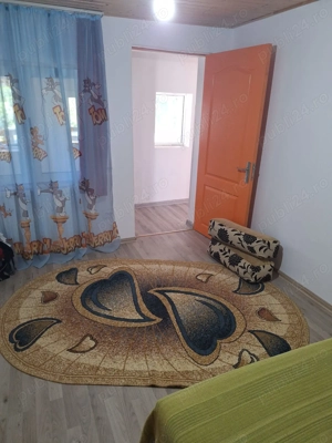 Casa de vanzare in DB, Visinesti, Urseiu - imagine 3
