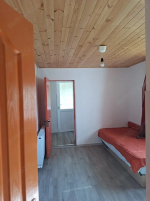 Casa de vanzare in DB, Visinesti, Urseiu - imagine 6