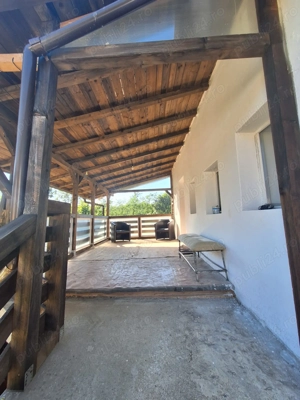Casa de vanzare in DB, Visinesti, Urseiu - imagine 7