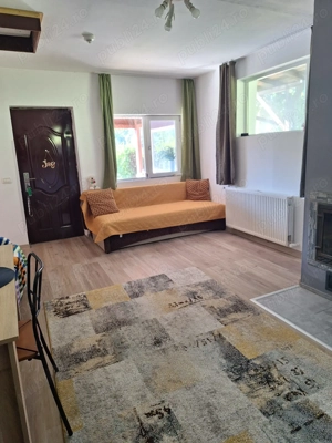 Casa de vanzare in DB, Visinesti, Urseiu - imagine 5