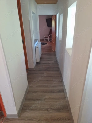 Casa de vanzare in DB, Visinesti, Urseiu - imagine 8