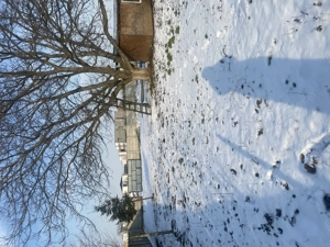 Vânzări terenuri tunari - imagine 3