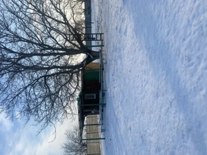 Vânzări terenuri tunari - imagine 2