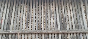 vand cucuruz  - imagine 2