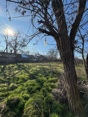 Casa+2 terenuri intravilane Tufesti  - imagine 9