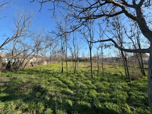 Casa+2 terenuri intravilane Tufesti  - imagine 6