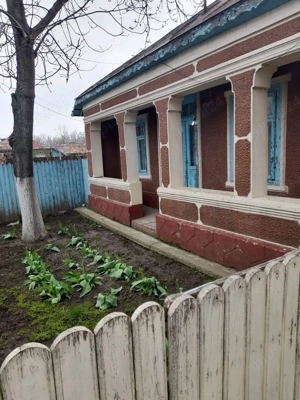 Casa+2 terenuri intravilane Tufesti  - imagine 3