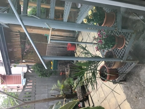 Schimb casă 6 camere veche renovată Bdul Pieptănari cu vilă nouă minimum 4 camere  - imagine 4