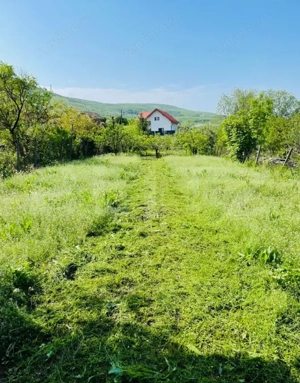 Casa cu 2 camere, 141 mp, 690 mp teren,  Petrestii de Mijloc  - imagine 3