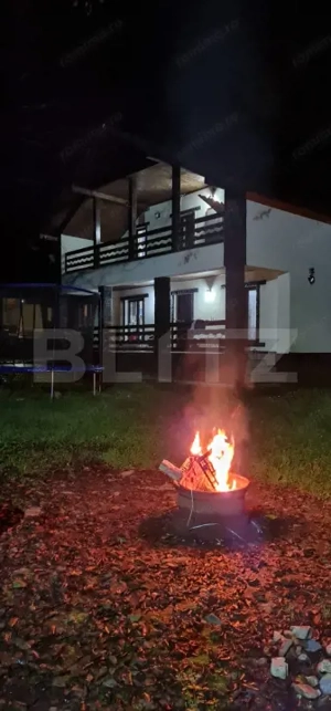 CABANA DACICA –Refugiu premium la poalele Munților Dacici, în inima Costeștiului - imagine 4