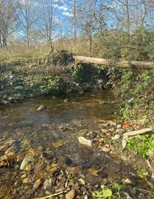 Teren mixt de vânzare Crasna Gorj, aproape de Rânca– 19.209 mp - imagine 9