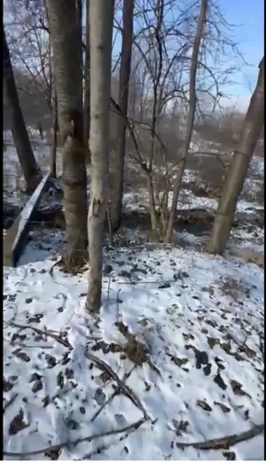 Teren mixt de vânzare Crasna Gorj, aproape de Rânca– 19.209 mp - imagine 8