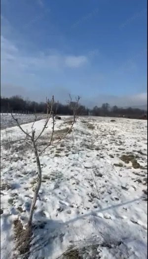 Teren mixt de vânzare Crasna Gorj, aproape de Rânca– 19.209 mp - imagine 4