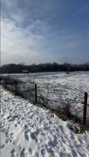 Teren mixt de vânzare Crasna Gorj, aproape de Rânca– 19.209 mp - imagine 3