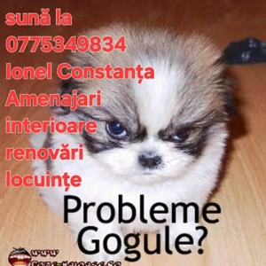 Instalatii sanitare termice  - imagine 2