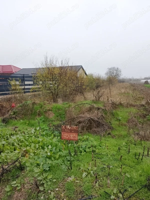 Teren Cretesti Vidra