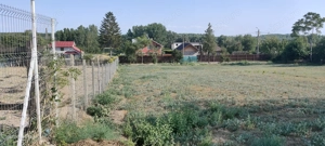 Teren  de inchiriat 2200m ,Com Borcea (CL), term lung-INTRAVILAN - imagine 9