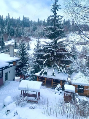 Pensiune de lux la padure, 9 camere in Vatra Dornei, teren si gradina - imagine 7