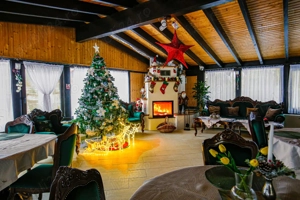 Pensiune de lux la padure, 9 camere in Vatra Dornei, teren si gradina - imagine 3