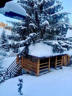 Pensiune de lux la padure, 9 camere in Vatra Dornei, teren si gradina - imagine 6