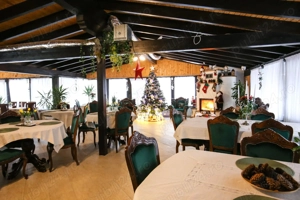 Pensiune de lux la padure, 9 camere in Vatra Dornei, teren si gradina - imagine 9