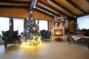 Pensiune de lux la padure, 9 camere in Vatra Dornei, teren si gradina - imagine 10