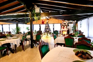 Pensiune de lux la padure, 9 camere in Vatra Dornei, teren si gradina - imagine 11