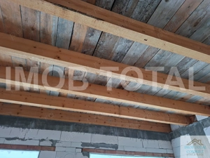 Casa P+1, la rosu, Bradu , 7 km de pitesti - imagine 9