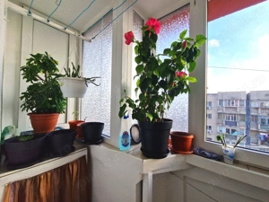 Apartament 4 Camere | 13 Septembrie | Sebastian | 96 mp | Etaj 8  - imagine 10