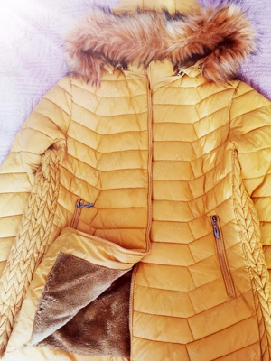 Canadiana dama, portocalie 