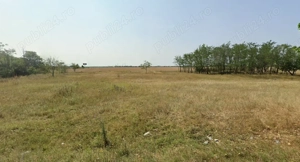 Vanzare teren 10.000 mp extravilan Ploiești - imagine 5