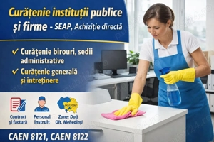 Curățenie instituții publice și societati comerciale, asociatii, proceduri SEAP, Dolj Olt Mehedinți