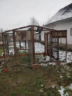 vind voliera porumbei gaini  - imagine 4