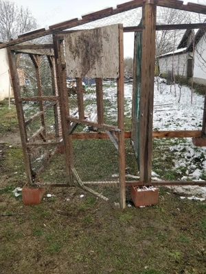 vind voliera porumbei gaini  - imagine 3