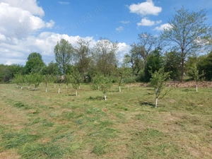 Livadă, teren intravilan 2300mp in sat Bucium jud. Brașov  - imagine 4