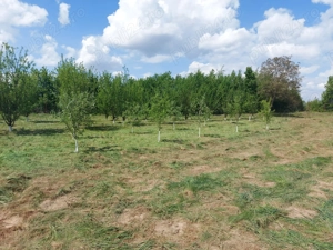 Livadă, teren intravilan 2300mp in sat Bucium jud. Brașov  - imagine 3