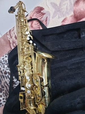 stagg este denumirea Saxofonistul  - imagine 3