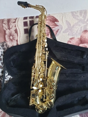 stagg este denumirea Saxofonistul  - imagine 4