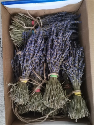 Vând buchețele lavandă