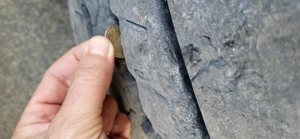 vind ansamblu basculabil Volvo euro 6 - imagine 9