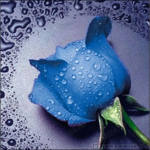 Caut o relatie serioasa