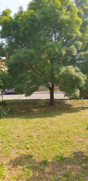 Apartament faleza nord parter 109 m  l