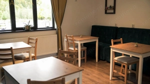 Pensiunea Freya e De Vanzare! 10 camere, 21ari Teren + Cabana A Frame - imagine 8