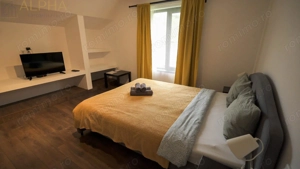 Pensiunea Freya e De Vanzare! 10 camere, 21ari Teren + Cabana A Frame - imagine 14